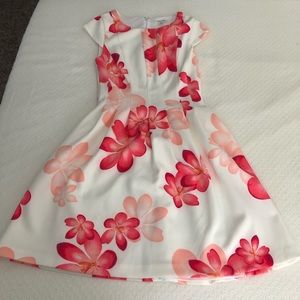 NWOT Calvin Klein Dress